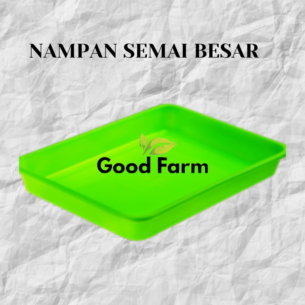 NAMPAN SEMAI UKURAN BESAR // NAMPAN SERBAGUNA