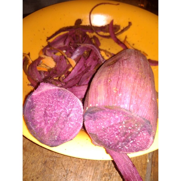 

Umbi Jalar Ungu Kulit Ungu 1kg Bisa Untuk Bibit