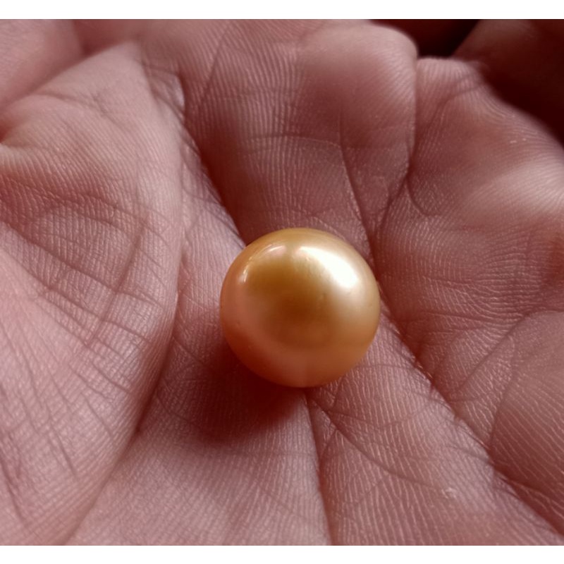 Mutiara Air Laut Gold