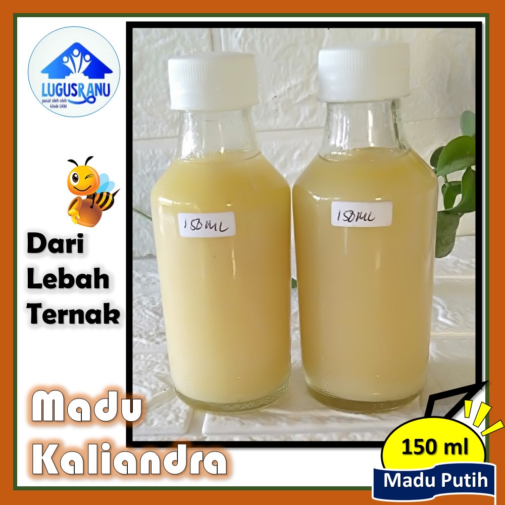 

Madu Kaliandra Madu Putih 150 ml (Madu dari Lebah Ternak) 100 % Madu Murni
