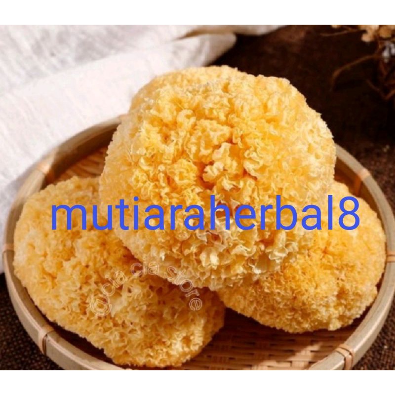 

jamur putih satu bulat / bai mu er
