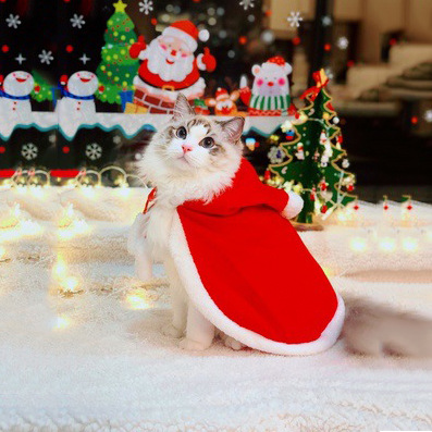 Kostum Jubah Natal Lucu Untuk Kucing Peliharaan