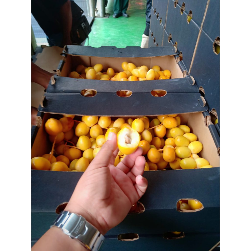 

Kurma Muda 1Kg