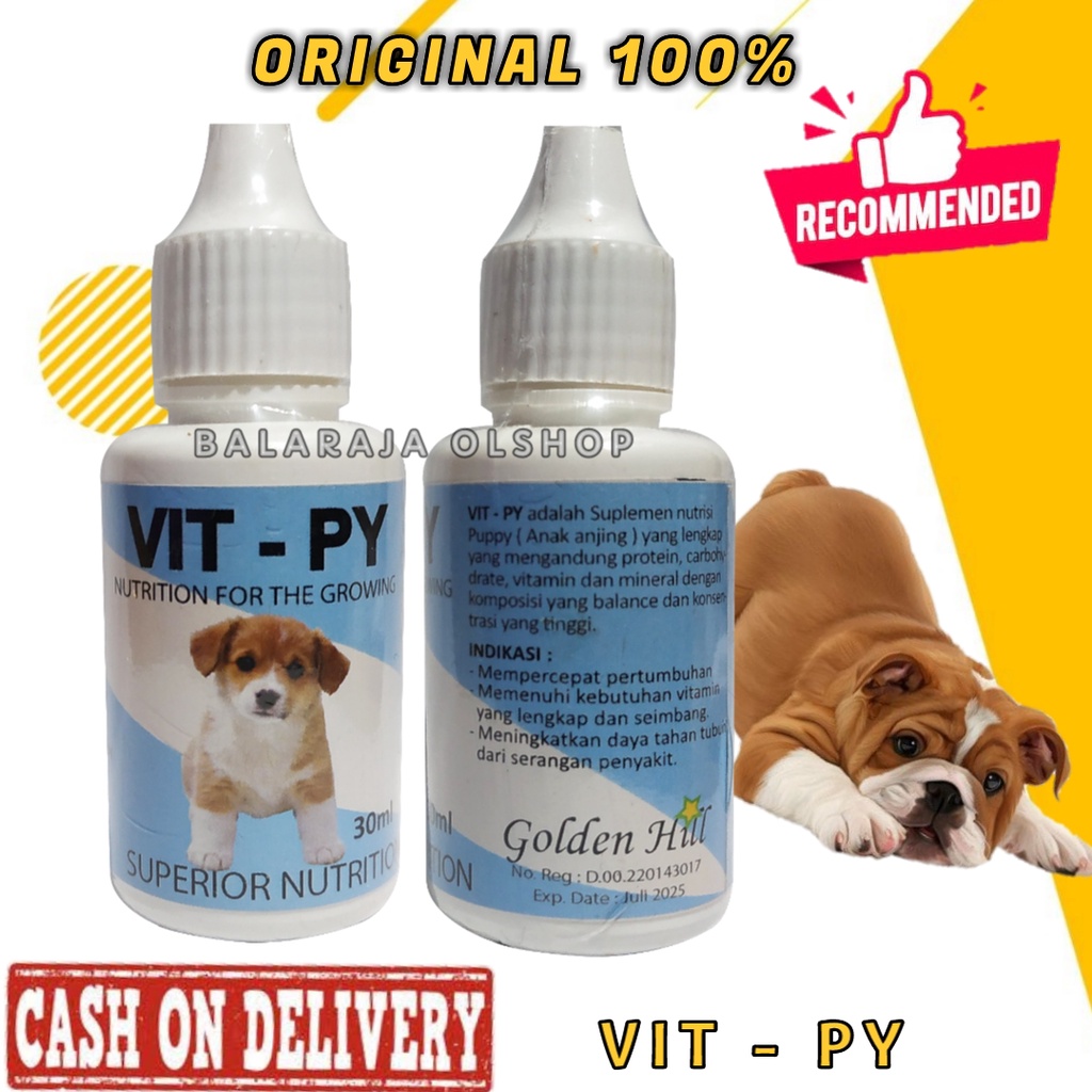 Vitamin Anak Anjing Kecil Vitpy Penambah Nafsu Makan Obat Gemuk Vit - Py Dog