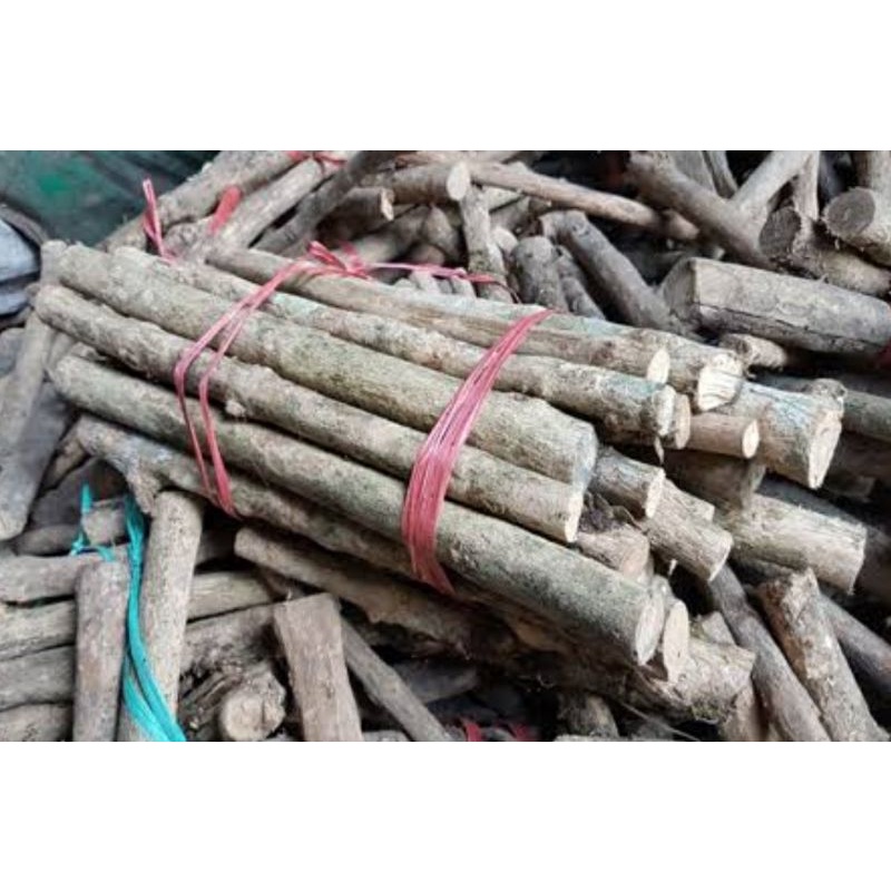 

[Fresh] POTONGAN KAYU KOPI UTUH 50 CM UNTUK ANGKRINGAN TANGKRINGAN BURUNG