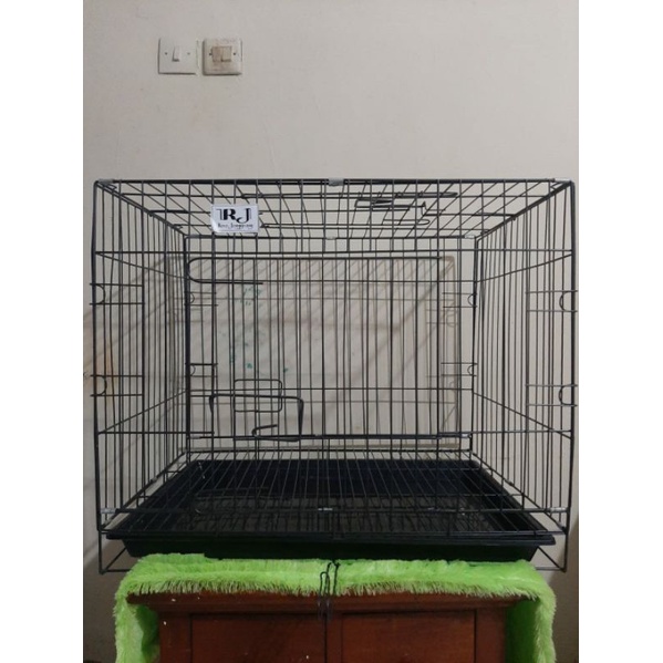 kandang kucing, kelinci, dan anjing-Hitam leopard