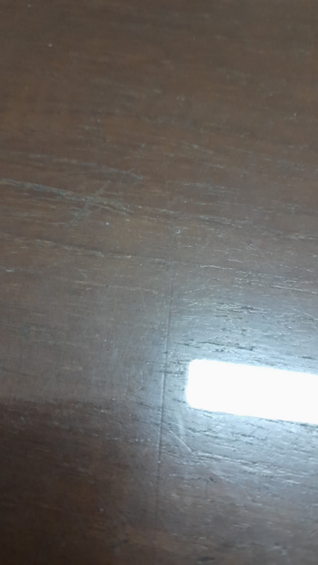 Hss Amplas Velcro Grit 60 Amplas Bulat Tempel Mesin Gerinda - Satuan