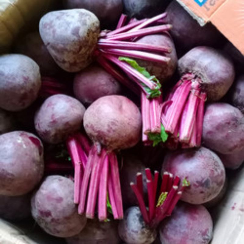 

Buah Beet Segar 1 kg