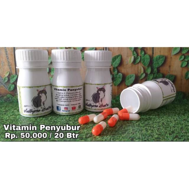 Vitamin Penyubur Kucing/Anjing