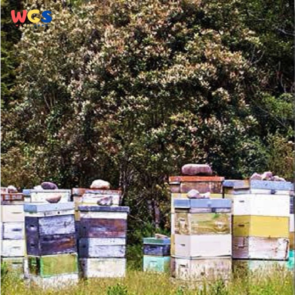 Airborne Honey Guardians Pure Natural Kamahi New Zealand Honey 500g