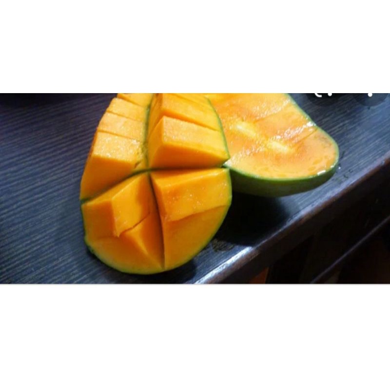 

Mangga Harum Manis