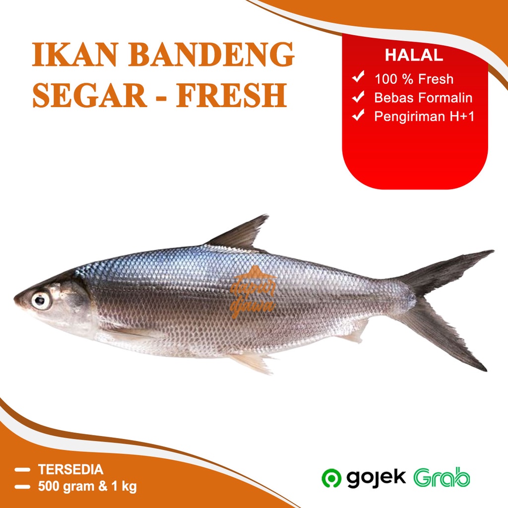 

IKAN BANDENG POTONG SEGAR FRESH 300GRAM 500 GRAM 500GR1 KG FROZEN BEKU