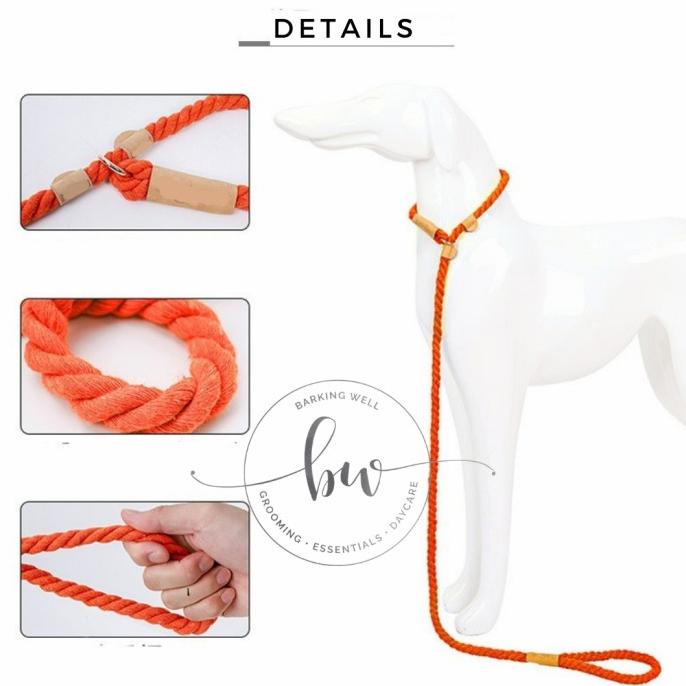 Tali Tuntun Anjing - Slip Dog Leash - Slip Lead Leash Cesar Milan