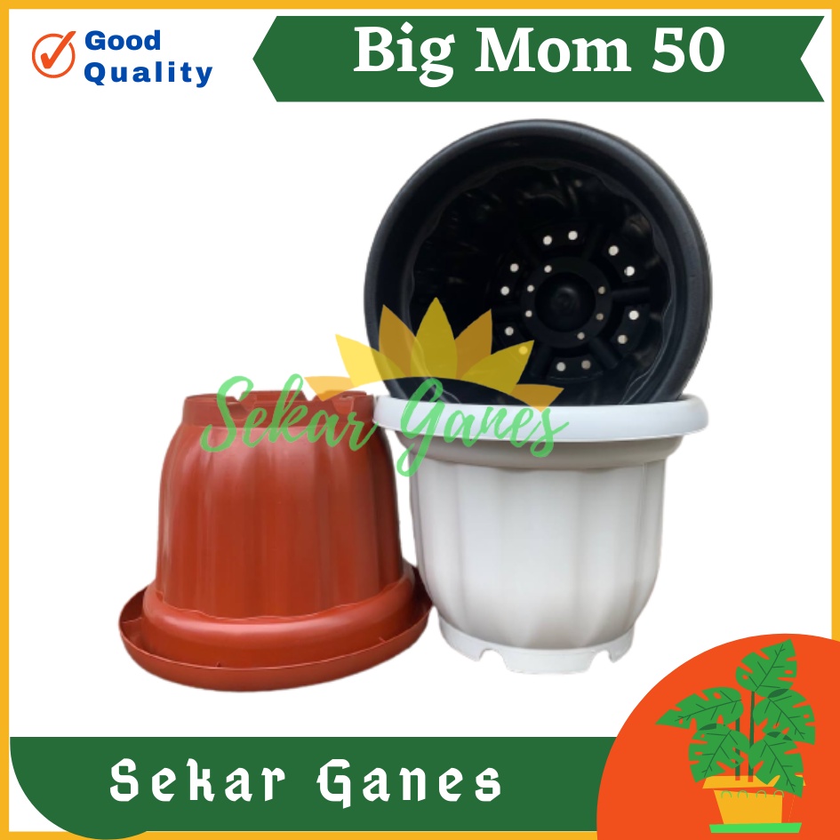 ONLY SAMEDAY AND INSTAN Pot BIGMOM 50 Putih Hitam Merah Bata Merah Coklat Terracota Terracotta  - Pot Besar Jumbo 50cm Pot Besar Plastik Bahan Tebal - Pot Besar Jumbo 100cm 50cm 40cm Putih Tinggi Hitam