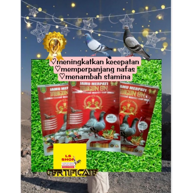 2 bks dragon sn burung merpati 60pil kamlang jamu herbal sasana ngapak