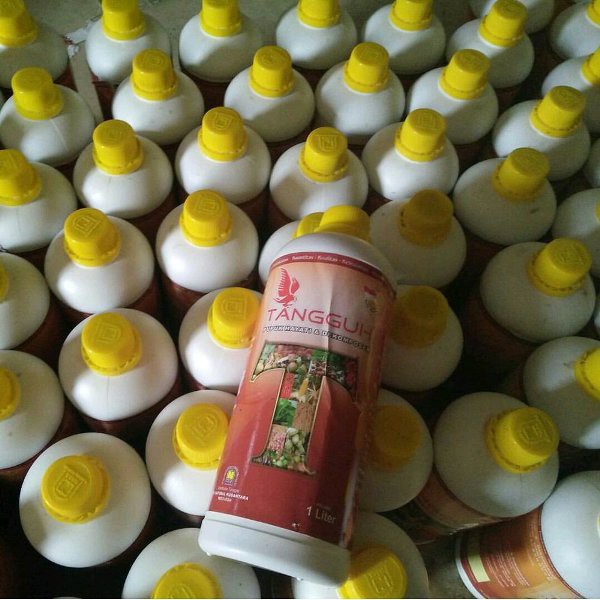 TANGGUH DEKOMPOSER - OBAT PEMBUAT PUPUK KOMPOS - KOMPOSER - MENGUBAH DAUN JADI KOMPOS - OBAT KOMPOS