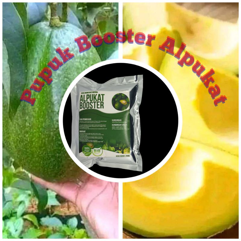 Pupuk booster buah AlpukatMurah Pupuk booster buah organik non kimia pupuk cair kilat npk urea merah