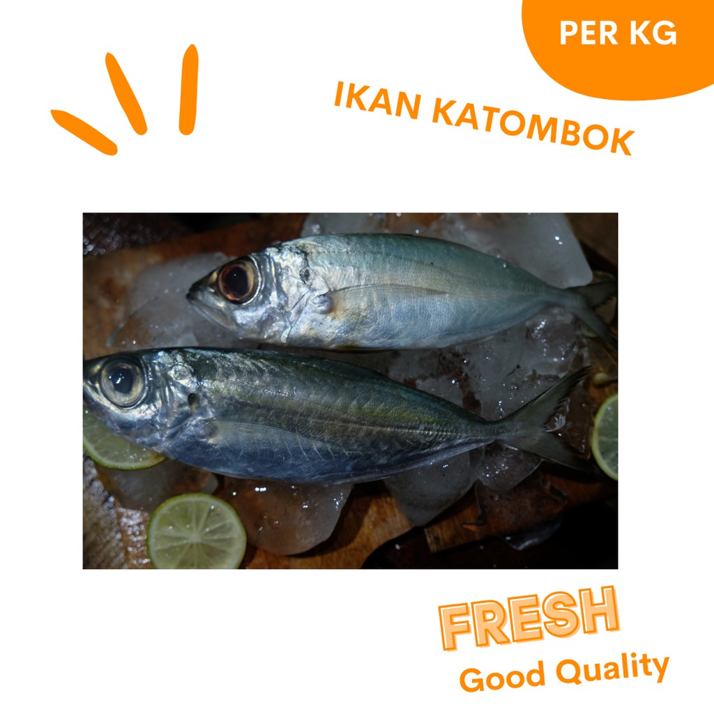 

IKAN LAUT SEGAR IKAN KEMBUNG IKAN KATOMBOK PER PACK FRESH MURAH PASAR ONLINE MAKASSAR