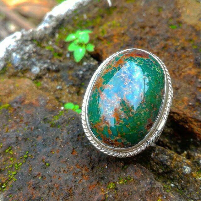 Pirus Persi Abdul Rozak