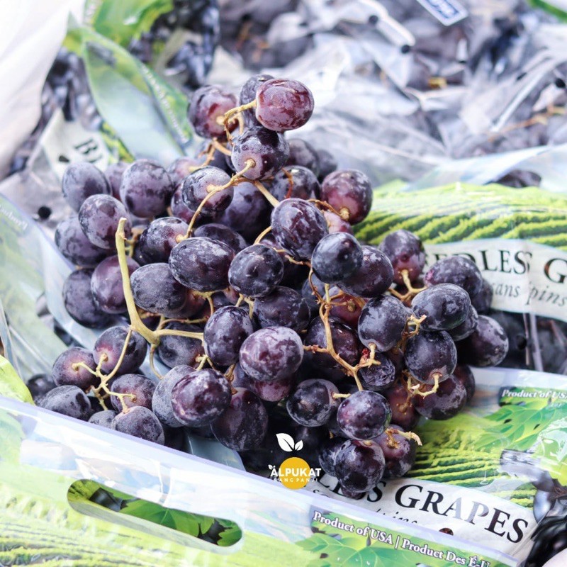 Anggur Hitam Midnight Beauty Non biji