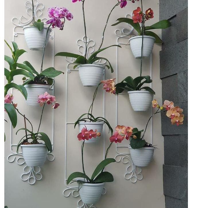 sa DCY Standing Pot Dinding ANGGREK+BONUS POT D15 / Rak Pot Bunga Tempel Dinding Minimalis Murah PJ