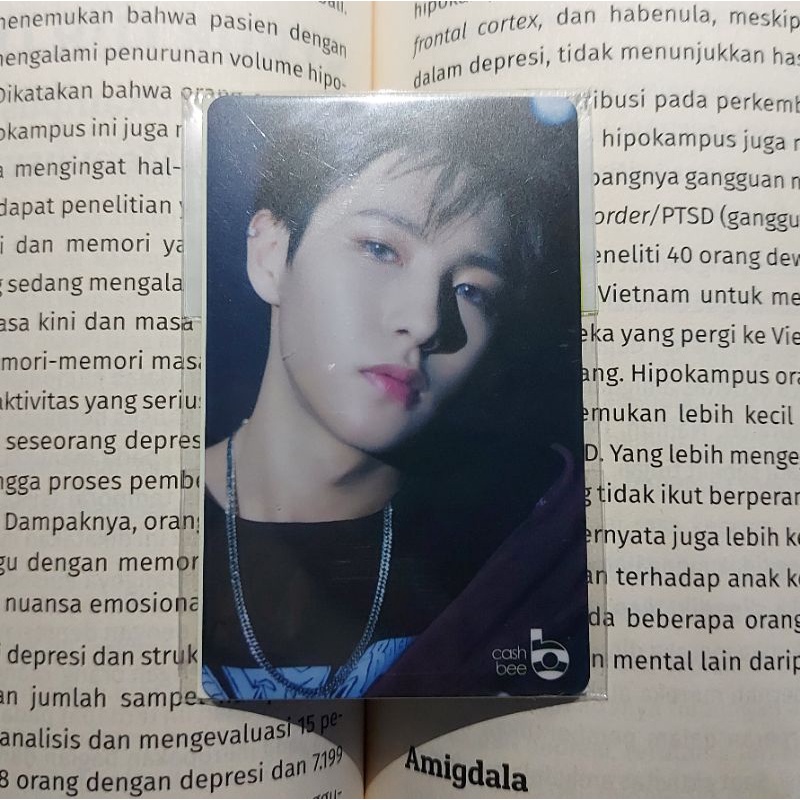 cashbee go renjun pc nct dream