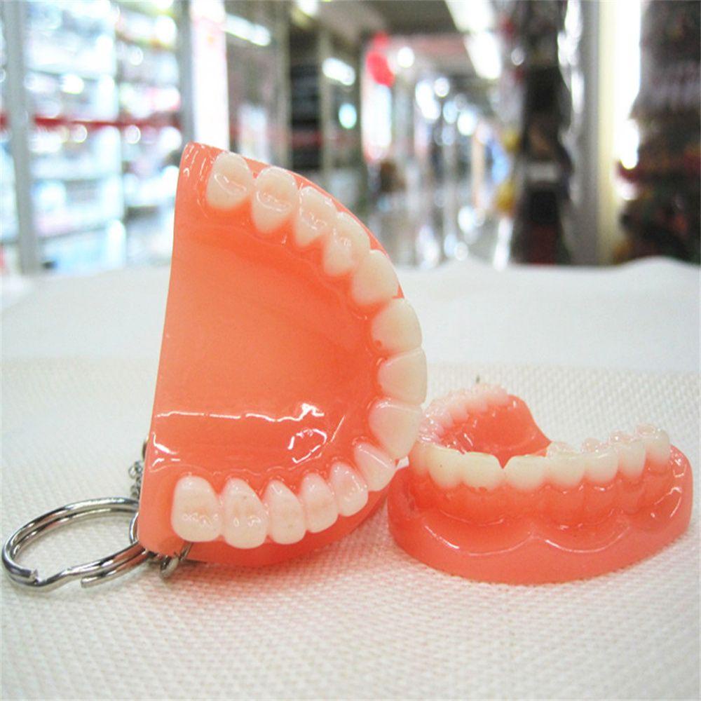 Agustinina Tooth Key Chain Dental Decoration Aksesoris Gigi Rahang Atas Resin Bentuk Gigi Gigi Palsu Key Chain