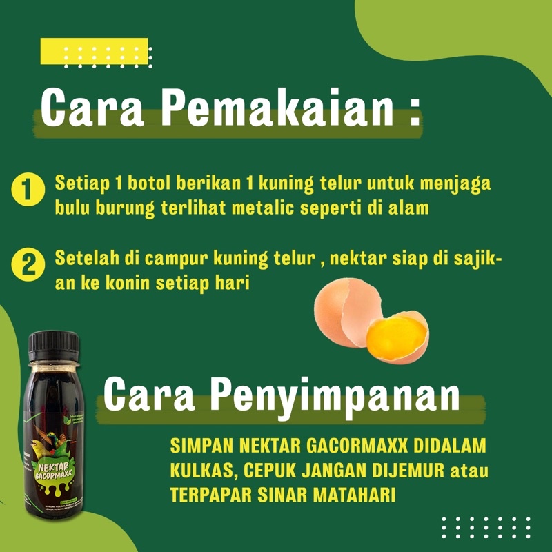 nektar gacormaxx untuk burung kolibri