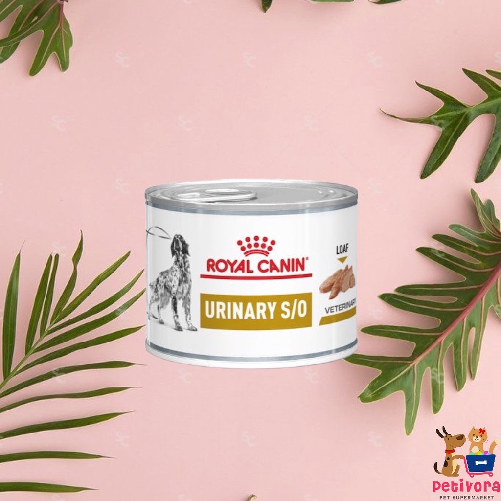 Royal Canin Urinary S/O Dog Can Kaleng 200gr