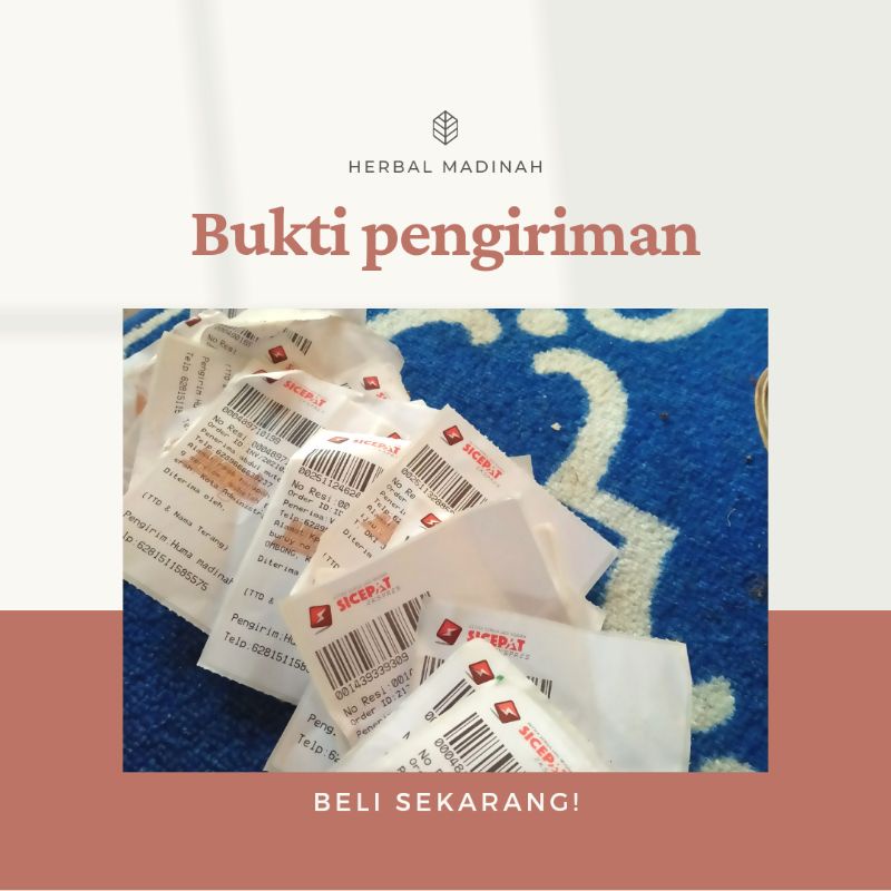 Akar Kayu Bajakan bajakah bajaka Asli Kalimantan jie xui teng herbal stroke jantung asam lambung-3