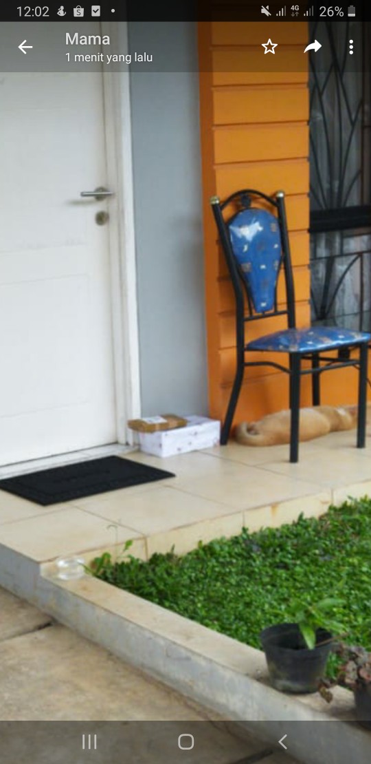 Amplop Lebaran Jumbo