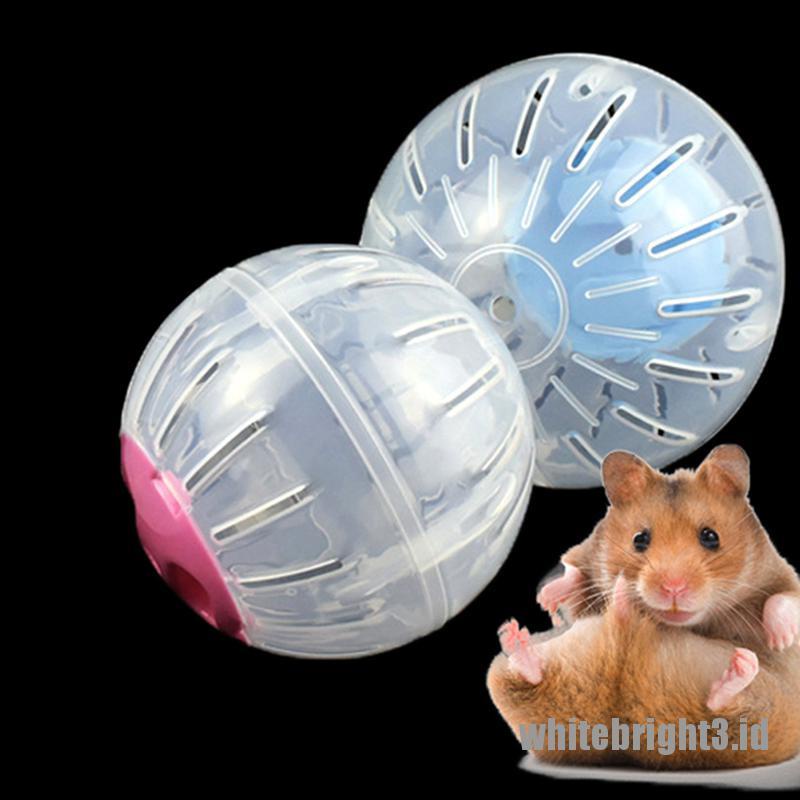 ❤White3 Warna Putih❤ Bola Lari Bahan Plastik Untuk Hamster