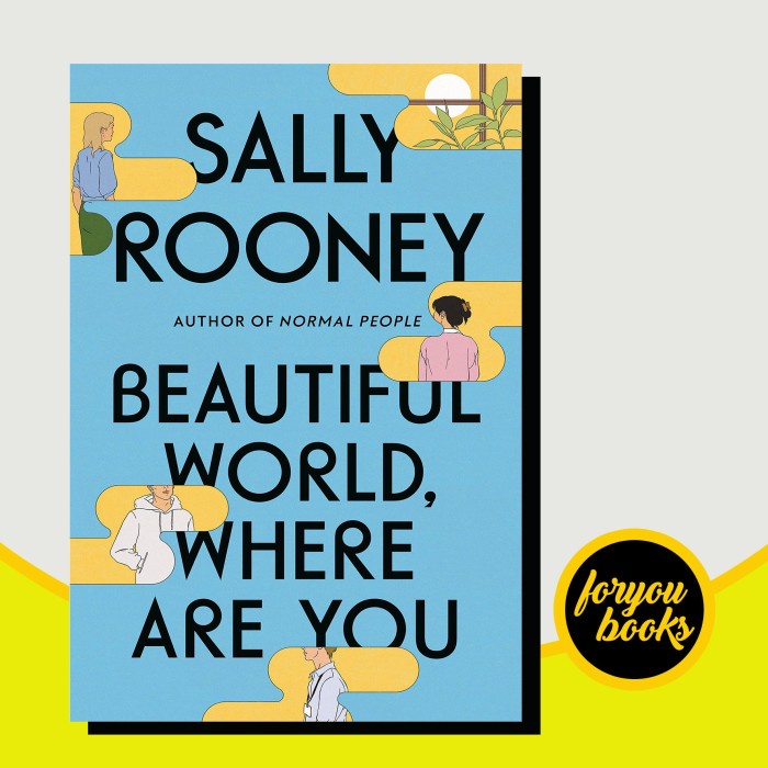 Beautiful World, Where Are You Sally Rooney