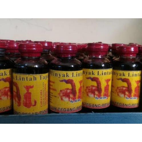 minyak lintah asli kalimantan