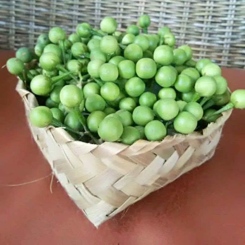 

buah cepokak atau juga di sebut takokak/250 gram