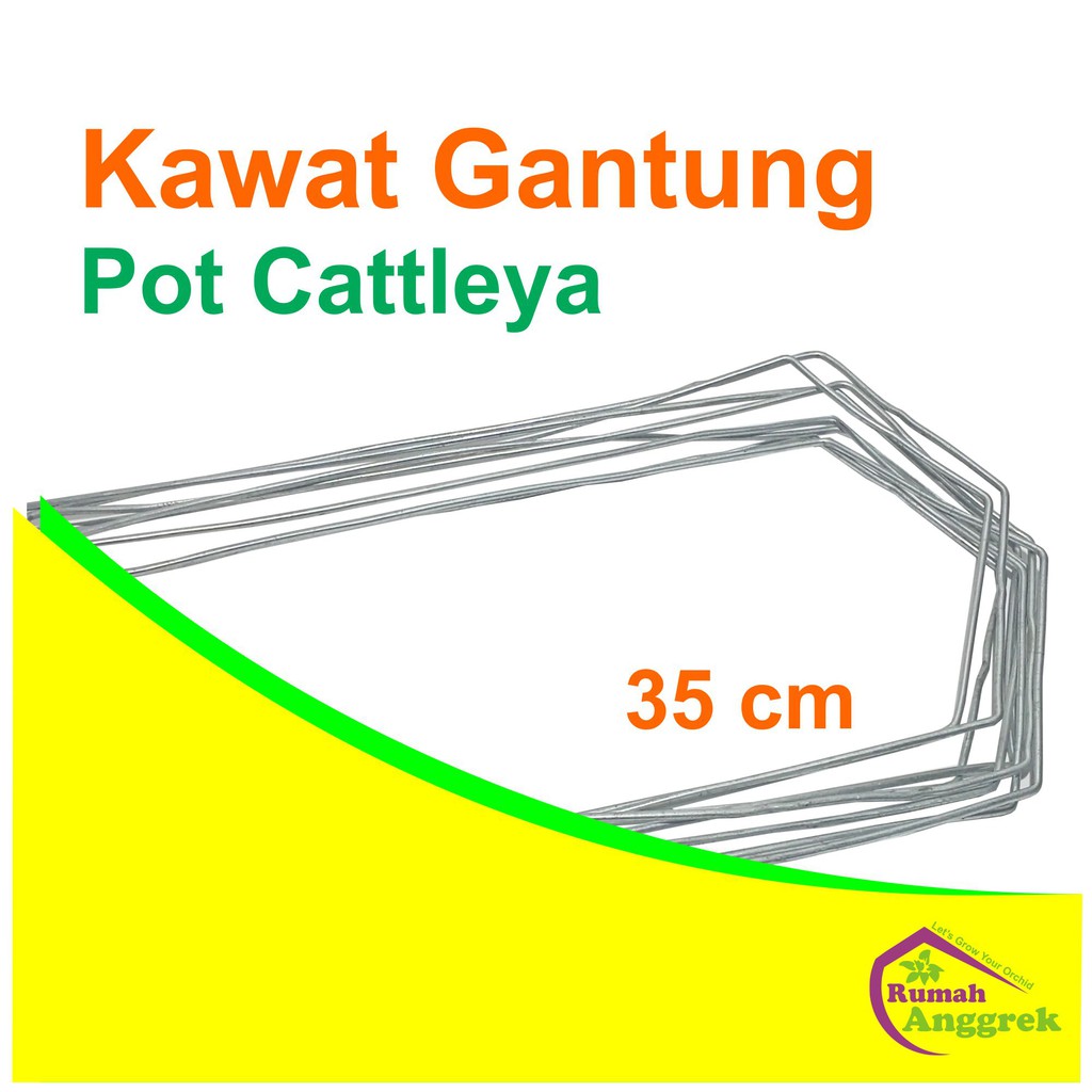 Kawat Gantung Pot Cattleya 35 cm kaki 2 anggrek dendrobium tali hijau catleya gantungan