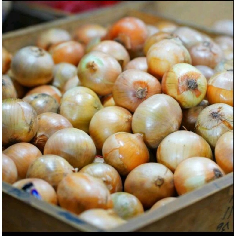 

bawang bombay ½kg