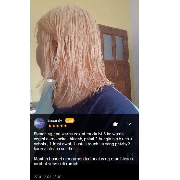 Bleaching korea premium BC Professional level 9 50gr Developer cat rambut blicing bleacing silver blonde