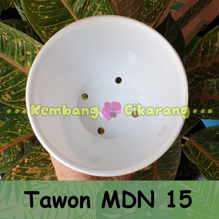 MDN TAWON 15 (15cm) pot bunga model tawon putih dan warna warni