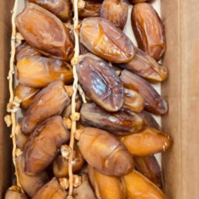 

Kurma tunisia Sultan tomour