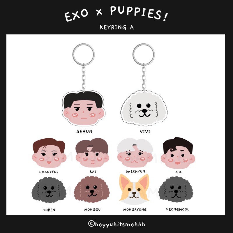[PO] EXO x Puppies  Keyring A by heyyuhitsmehhh