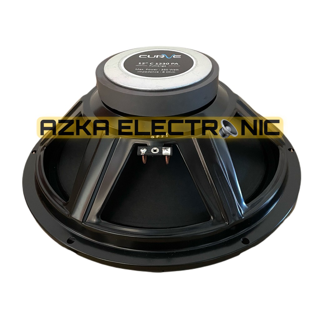 Speaker Curve 12 Inch Full  Range C 1230-PA