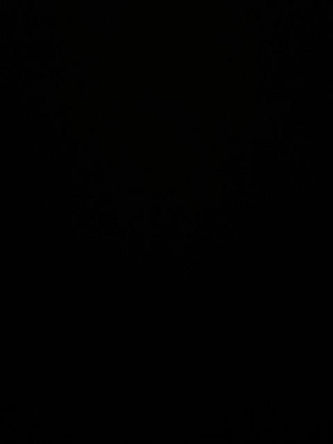 Tabasa Payung Tongkat Anak Transparan Mangkok Snowman