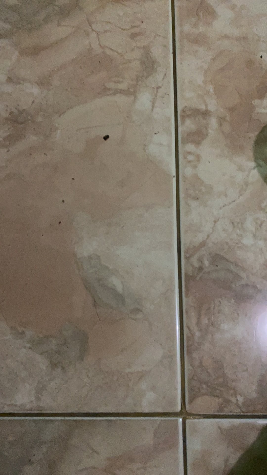 Maudy Dara Dress Broklat Tile Mutiara Mix Maxmara