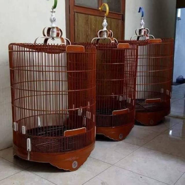 Kandang Murai Ebod Jaya Klasik Non List Akrilik Shopee Indonesia