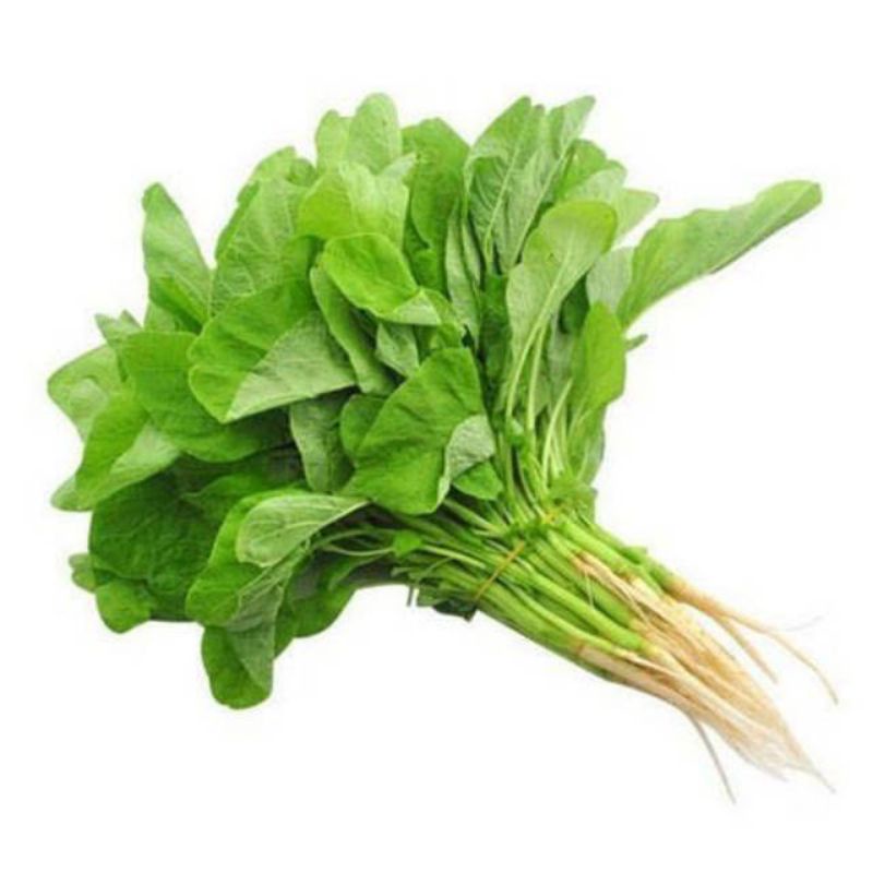 

Bayam fresh