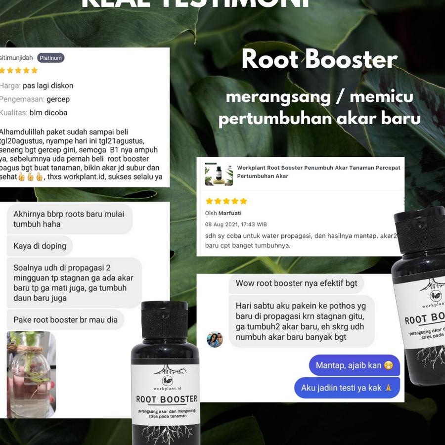 Trendy Workplant Root Booster - Perangsang Akar Penumbuh/Nutrisi Akar Tanaman Hias 60ml