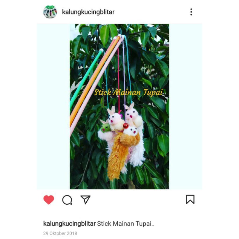 Mainan kucing stick toys cat toys TUPAI tongkat teaser