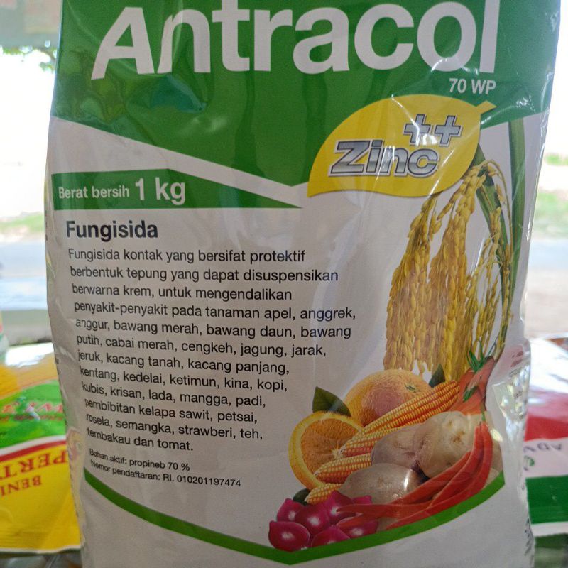 Antracol fungisida