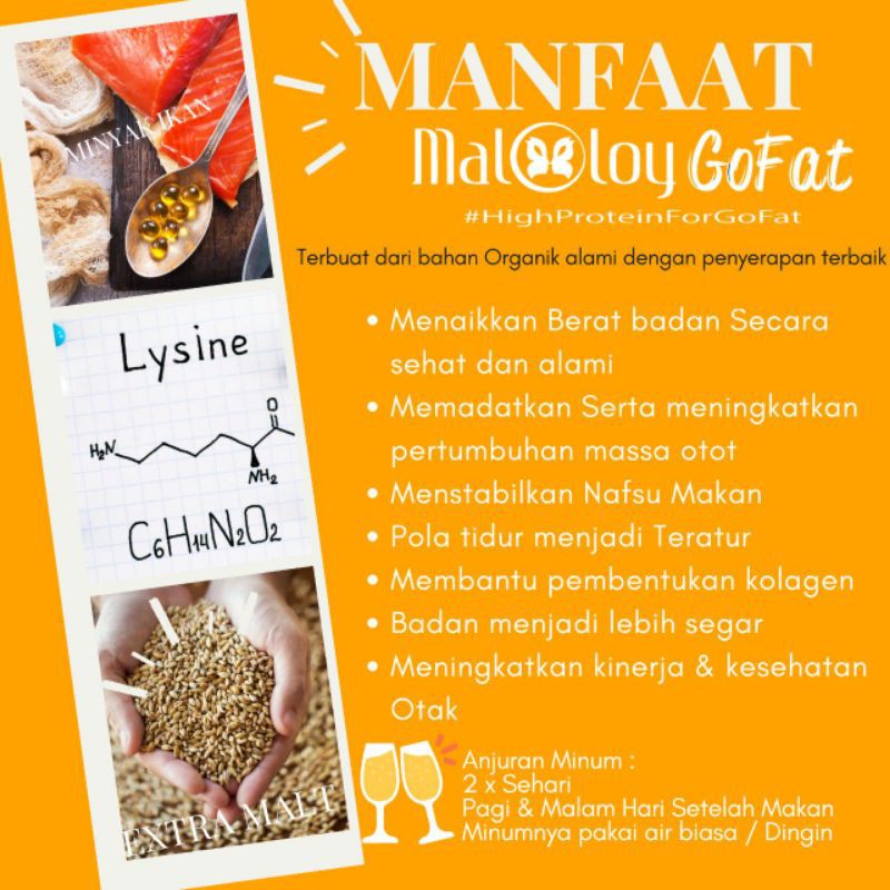 

maloloy go fat